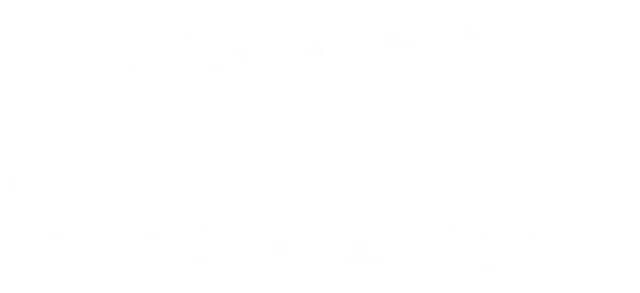 أبو حنفي