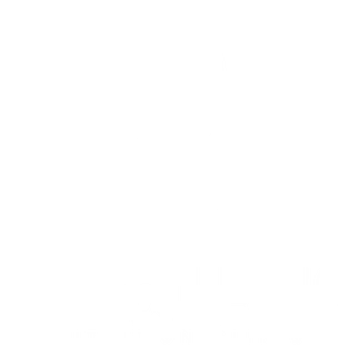 د. هبة الجلفي